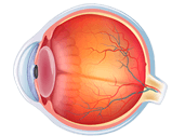 Healthy lens